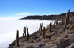 A Isla Incahuasi, no Salar de Uyuni, na Bolívia